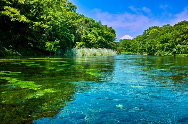 人生、川のごとく 自然は偉大なメンター 川の流れに人生を学ぶ - インディ中西 公式サイト